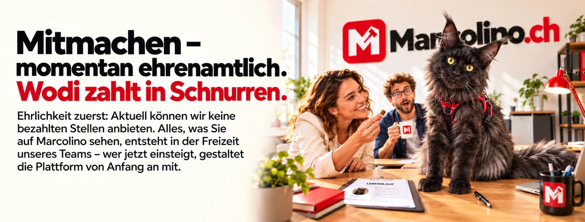 Mitmachen – momentan ehrenamtlich. Wodi zahlt in Schnurren.